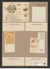 Hyalodiscus subtilis Bail. (de-Toni-Nr.: Genus 219, Species 5494) Zeichnungen Sammlung Grunow Nr. 9430 (NHMW-BOT-W0379284)